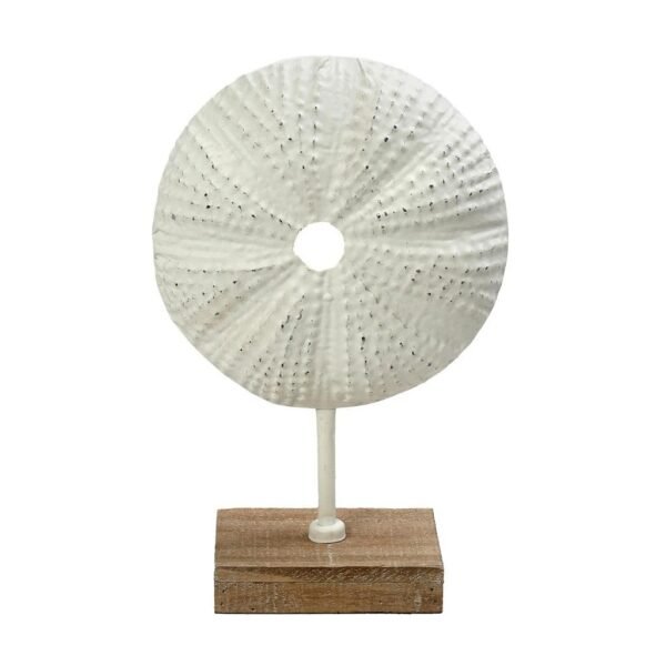 επιτραπεζια-φιγουρα-αχινοσ-λευκη-255χ10χ385εκ